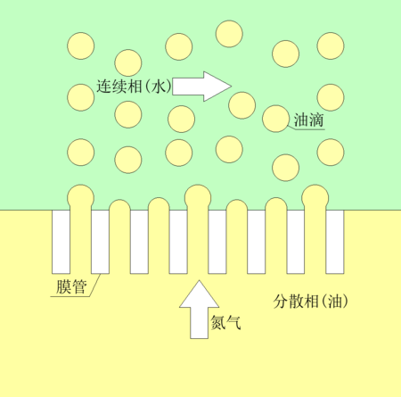1741938312078.jpg