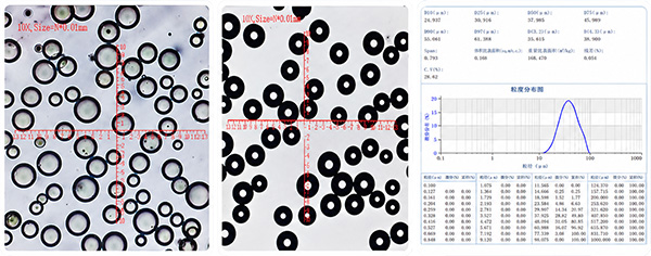plla-microsphere-membrane-emulsification-case-cover.jpg