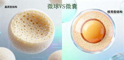 微球和微囊的区别